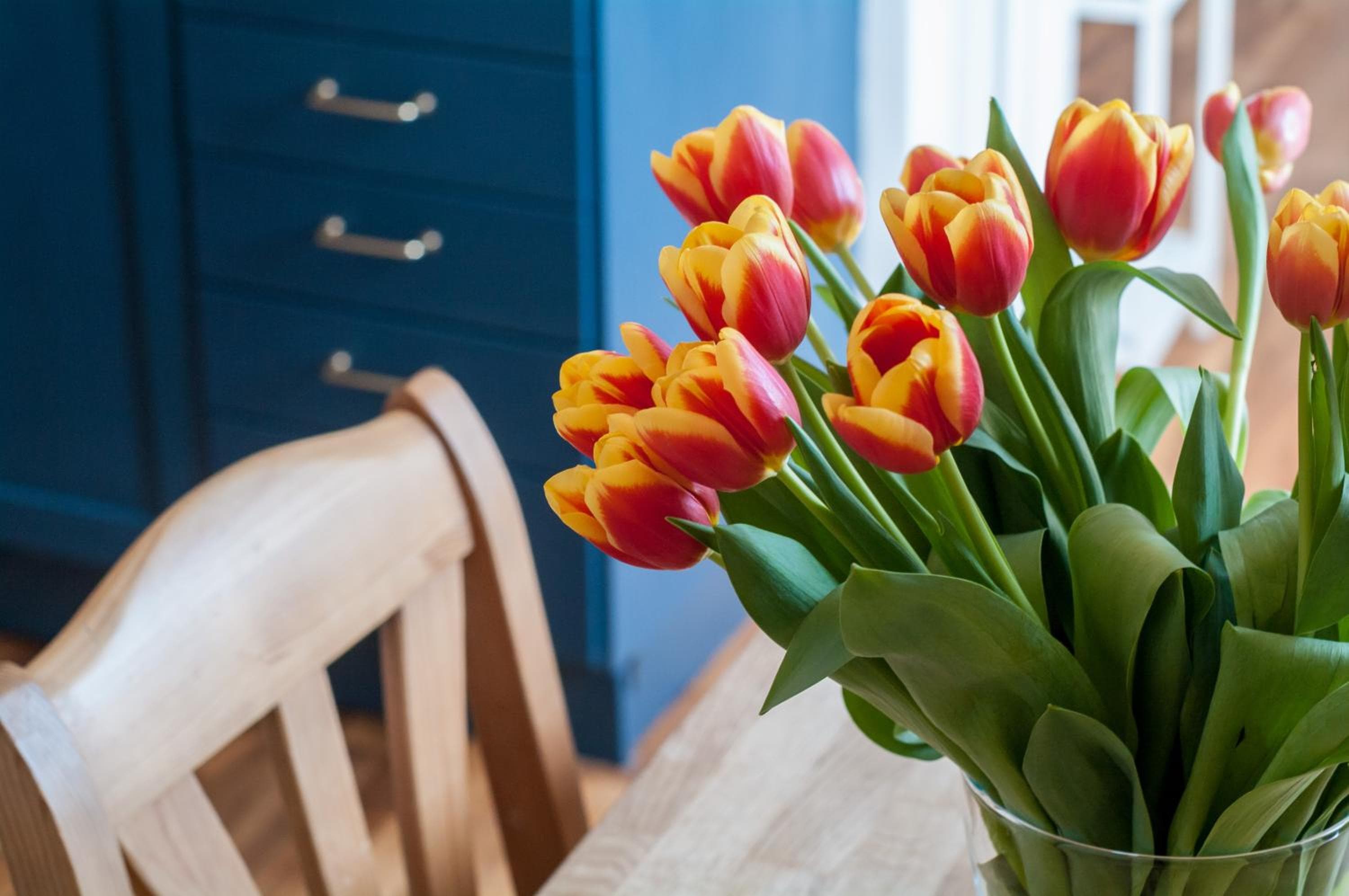 Photograph supplied for Cozy Apartment