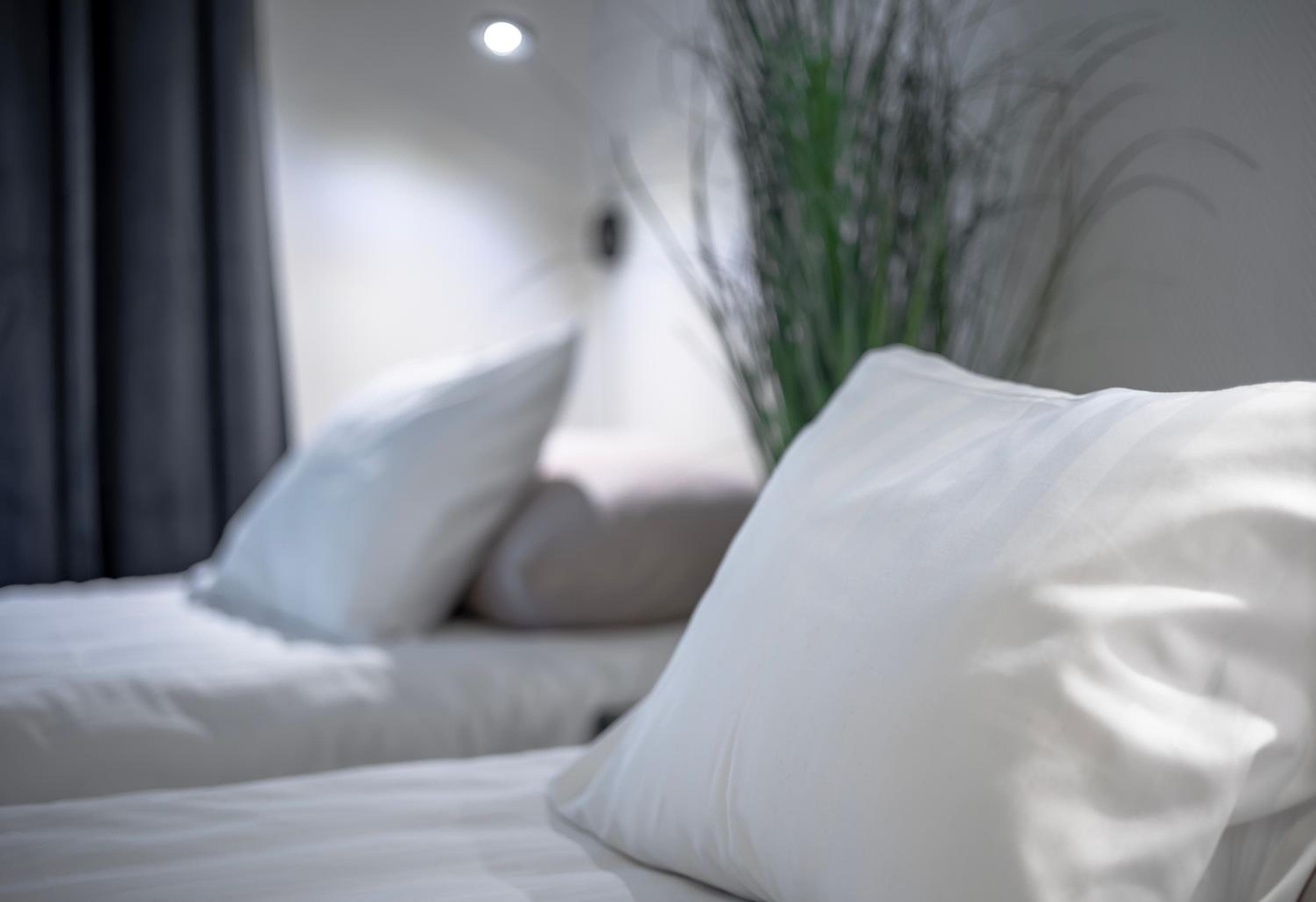 Photograph supplied for Hotel Lemonade