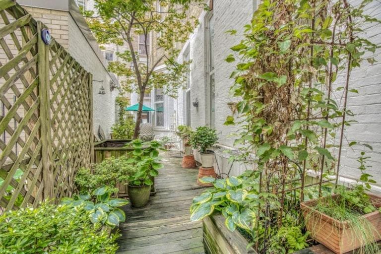 Photograph supplied for Mount Vernon Apartment Rear