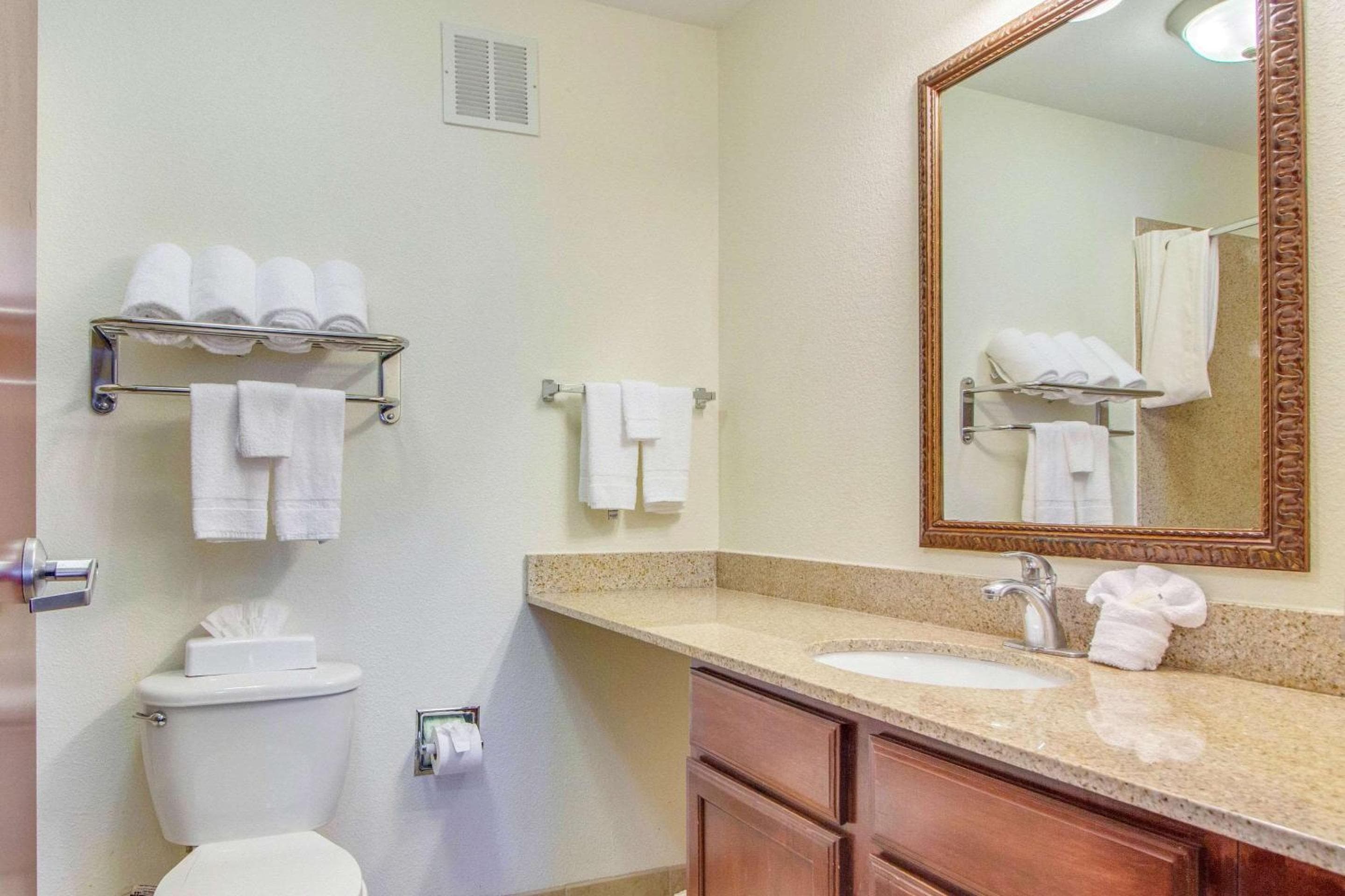 Photograph supplied for MainStay Suites Texas Medical Center-Reliant Park