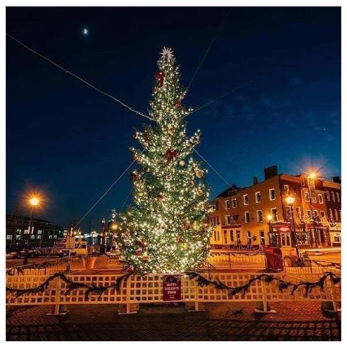Photograph supplied for Luxury Rooftop Deck Historic Fells Point Harbor
