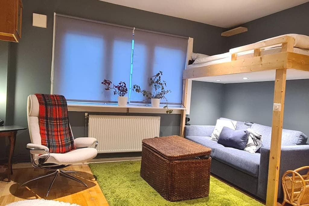 Photograph supplied for Smart Studio near Vigeland park