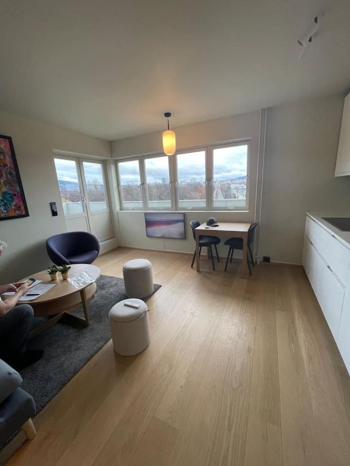Photograph supplied for Frognervein Terrace Penthouse