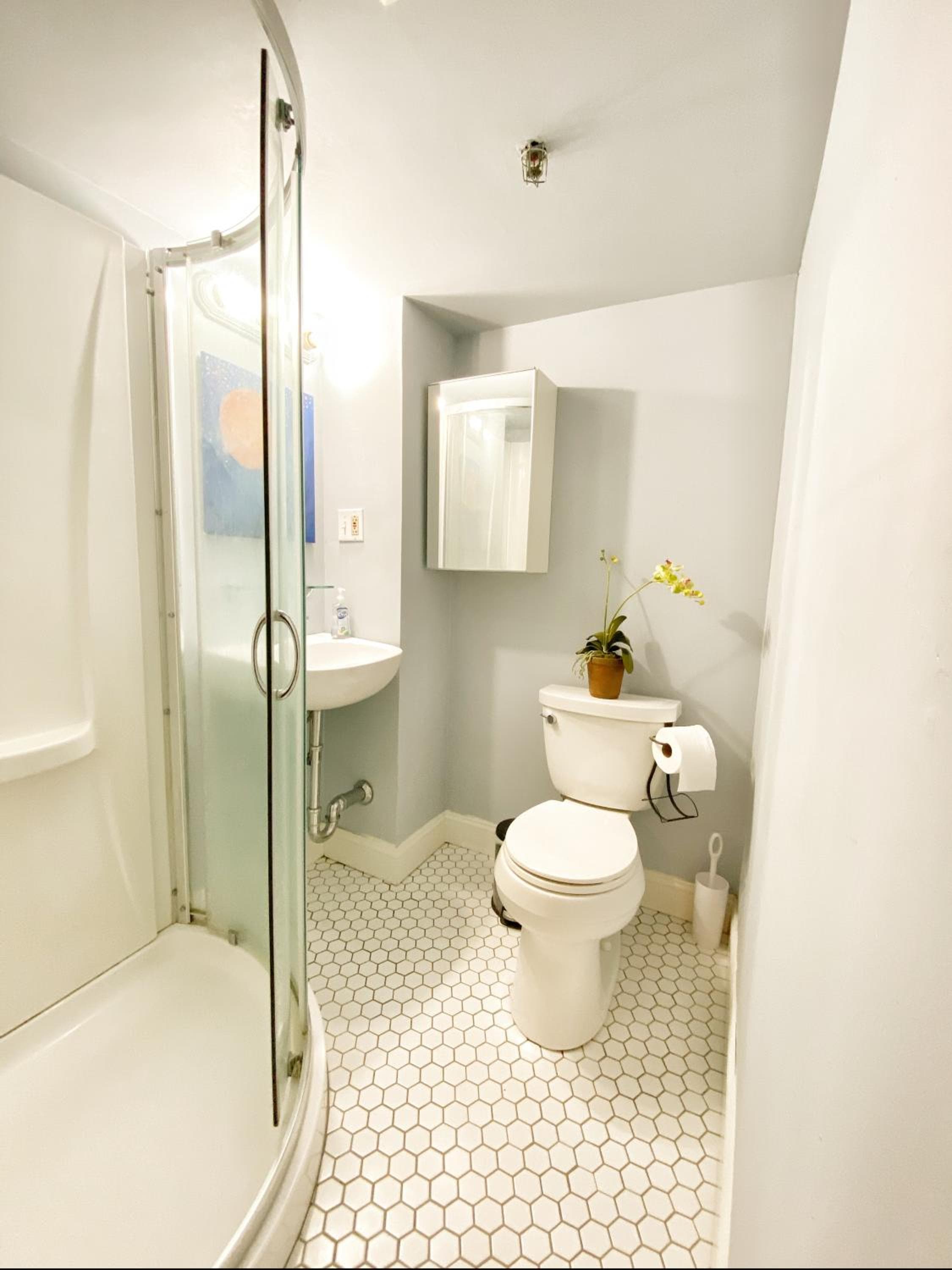 Photograph supplied for Ginkgo House on Harvard