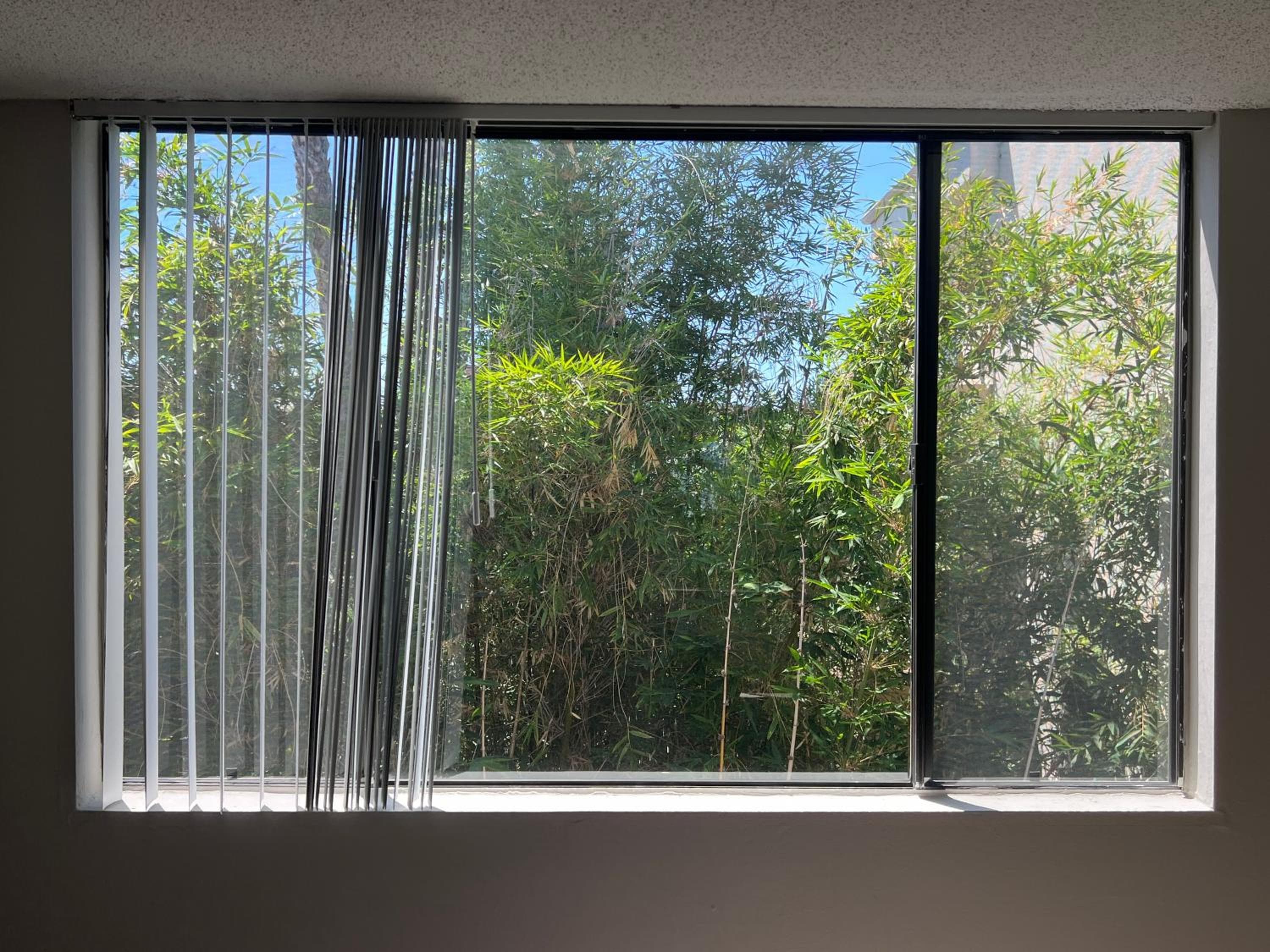 Photograph supplied for Cute and cozy apartment in WeHo.