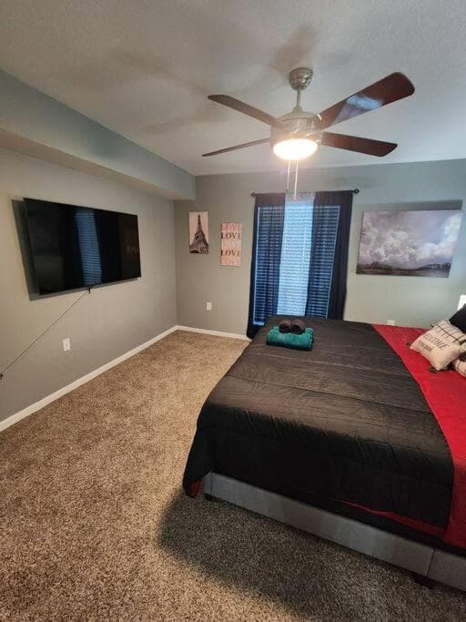 Photograph supplied for Blue Shark *B542* @ Medical Center Modern 1BR King Apartment