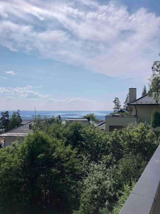Photograph supplied for The best view in Oslo