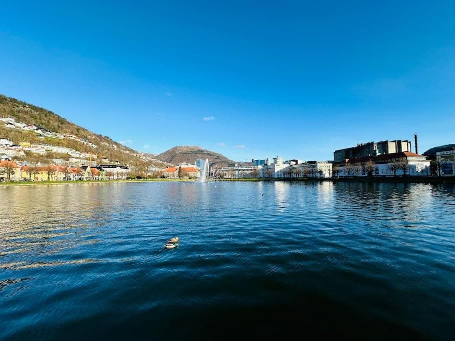 Photograph supplied for 7 Soverom i hjertet av Bergen