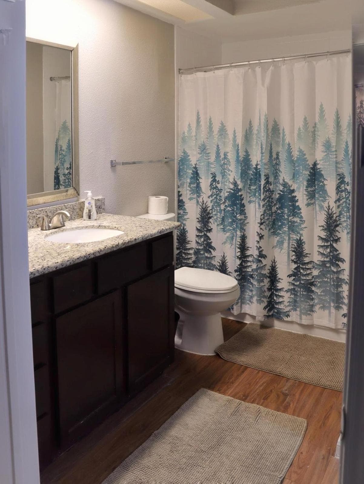 Photograph supplied for MD Anderson TMC 2 bed 2 bath entire apartment
