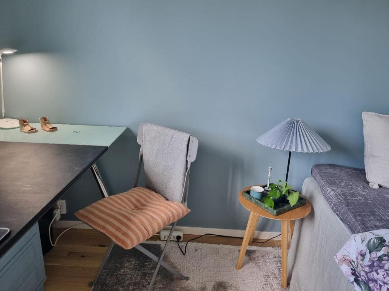 Photograph supplied for Doktor Forselius gata, The Blue Room