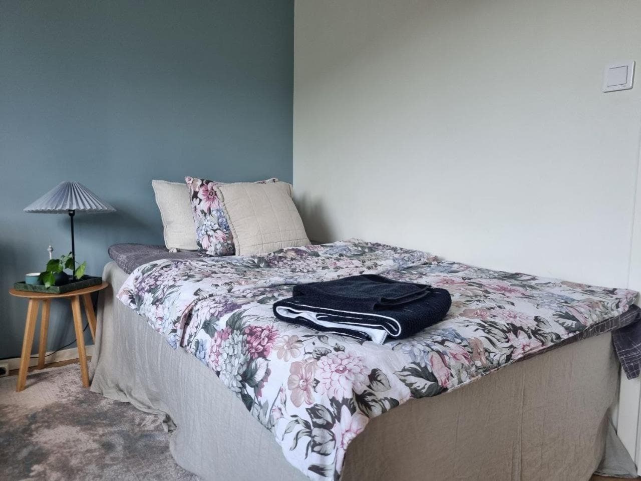 Photograph supplied for Doktor Forselius gata, The Blue Room