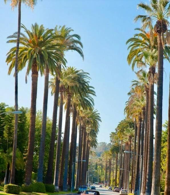 Photograph supplied for Designer 2 Bedroom Apt Beverly Hills-Rodeo Drive