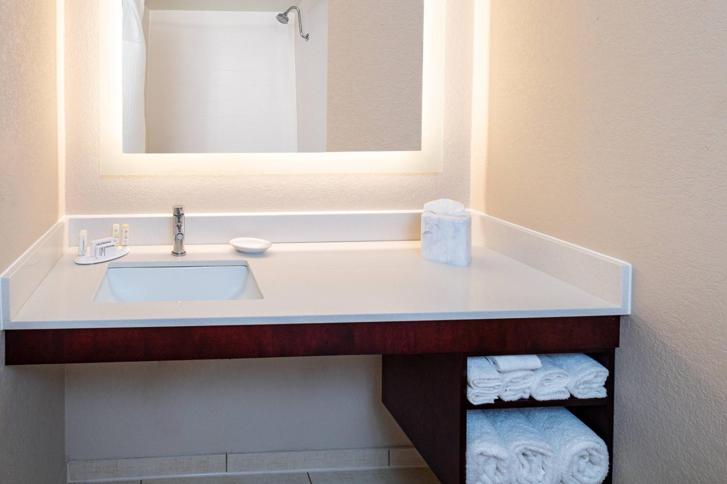 Photograph supplied for SpringHill Suites Houston Medical Center / NRG Park