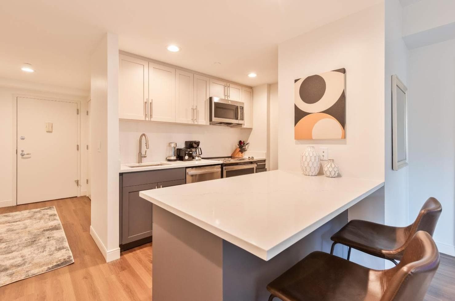 Photograph supplied for Luxury Apt Near Kendall Square