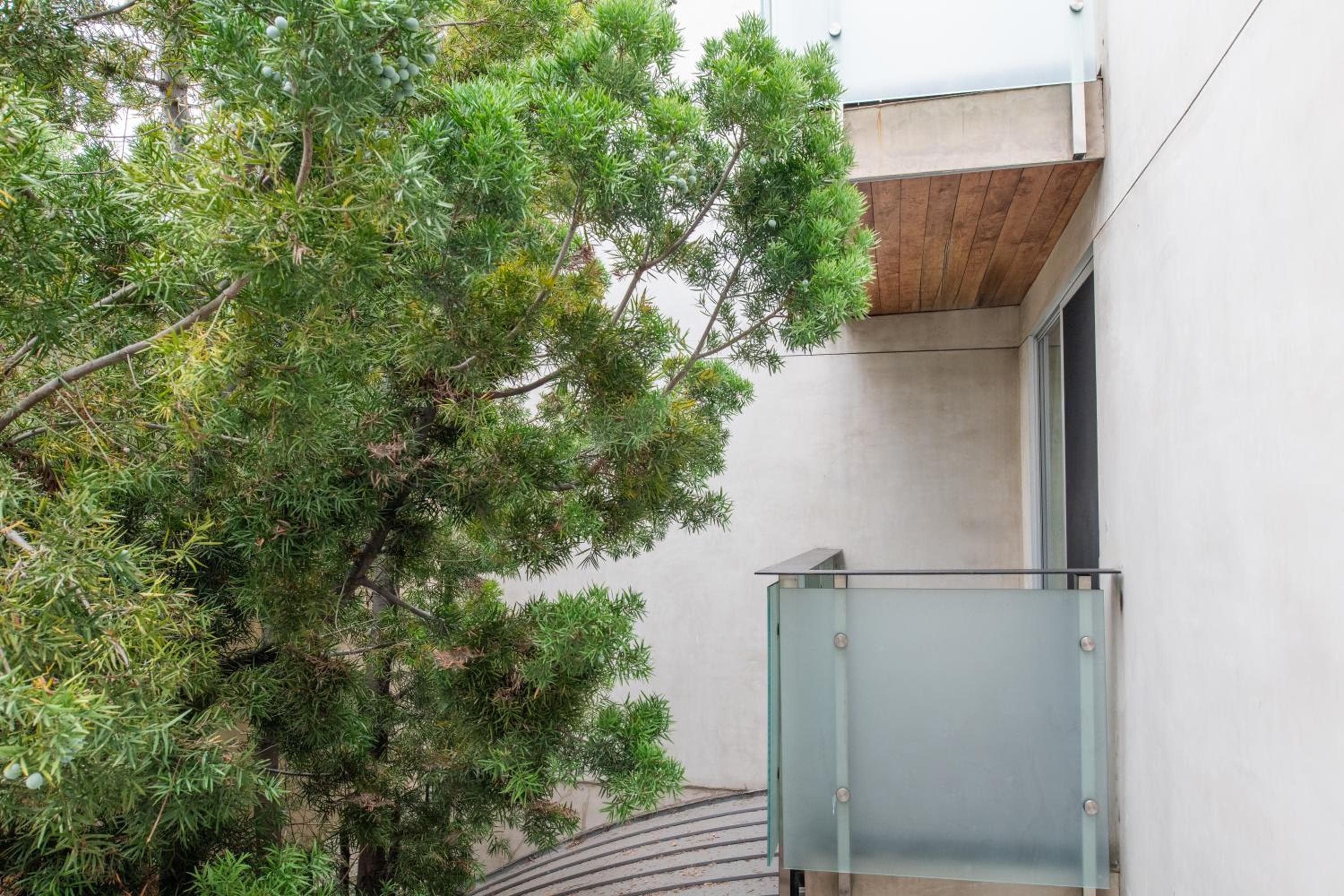 Photograph supplied for SIRTAJ – Beverly Hills