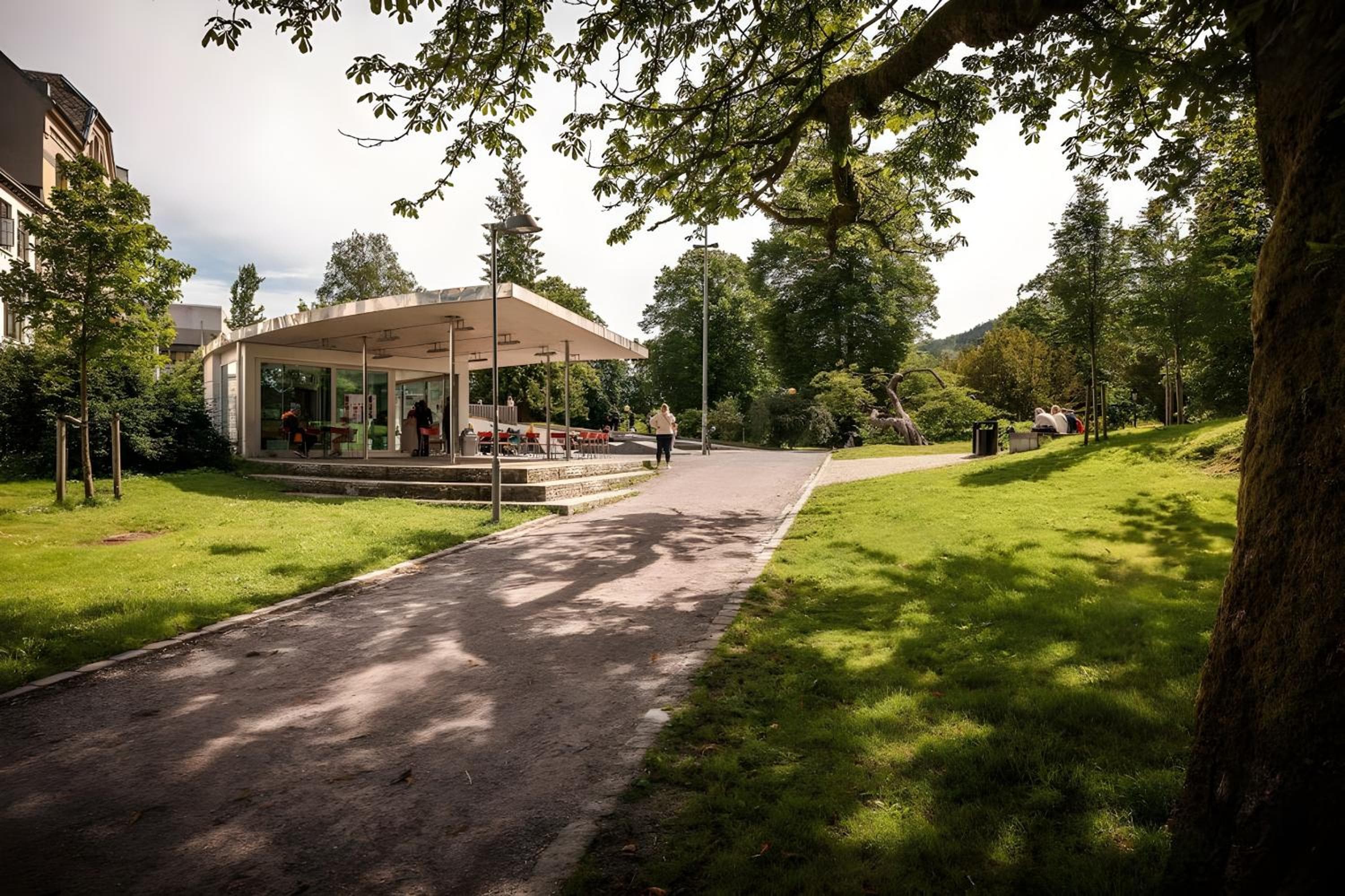 Photograph supplied for Lovely 3-room gem in the heart of Bergen City
