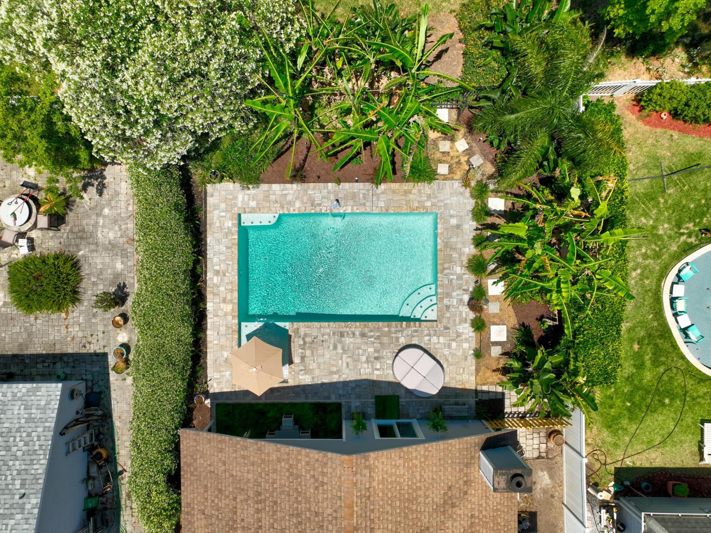 Photograph supplied for PrivateTropical Oasis in Jax Beach