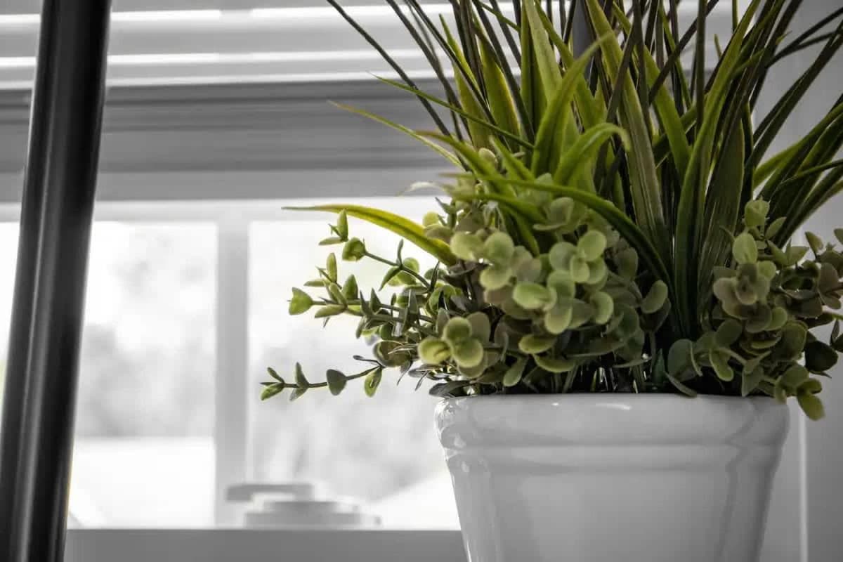 Photograph supplied for Cozy studio near Cleve Clinic Case