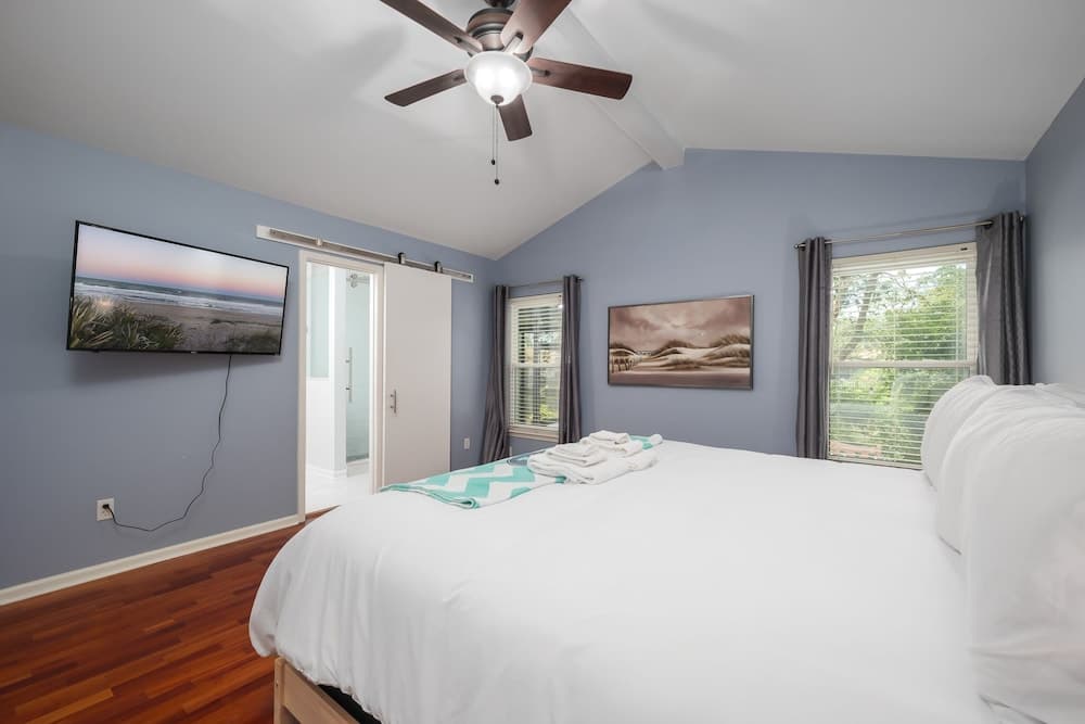 Photograph supplied for Paradise Palm