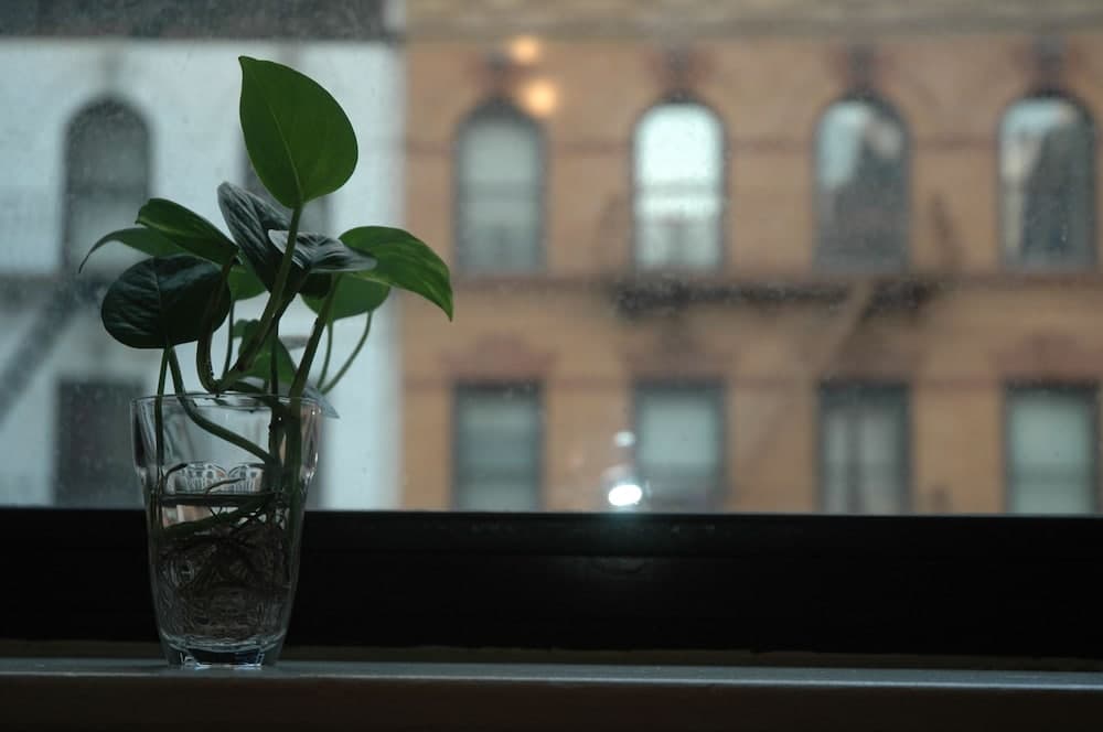 Photograph supplied for Midtown East 1BR Six DR27
