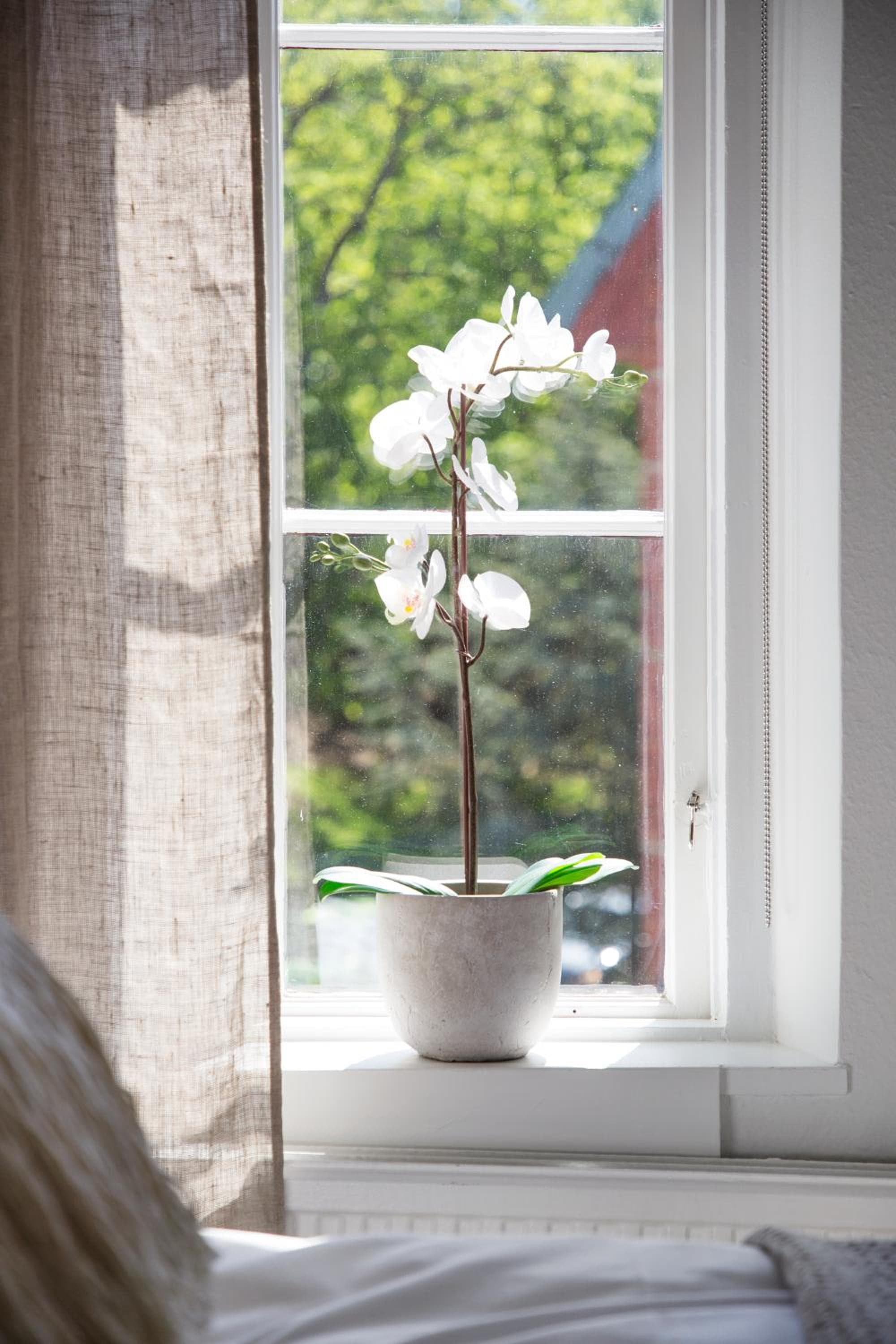 Photograph supplied for WOW Apartments & Rooms