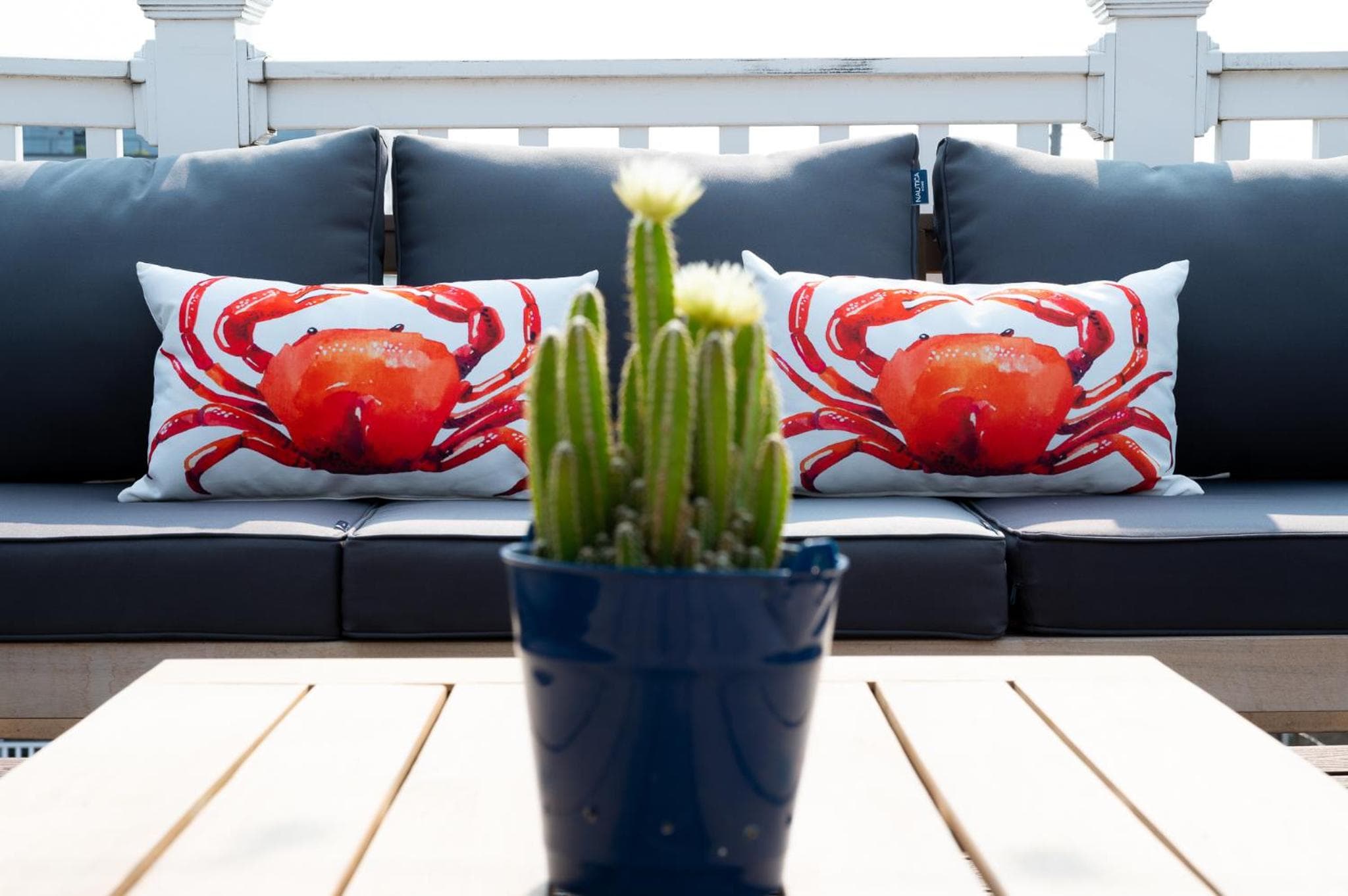 Photograph supplied for Spacious Federal Hill Home with Rooftop & 4 Parking Spots