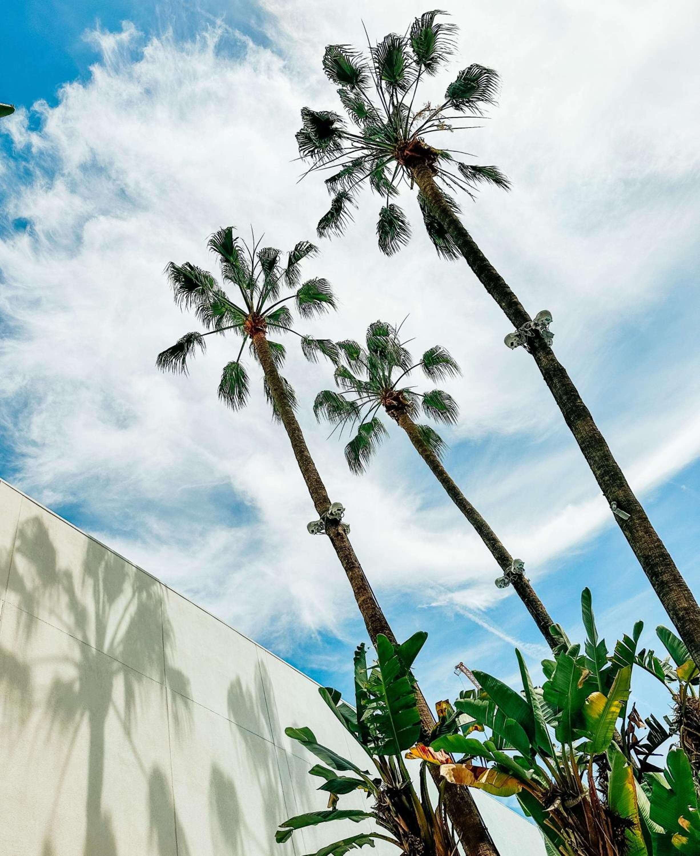 Photograph supplied for The Beverly Hilton