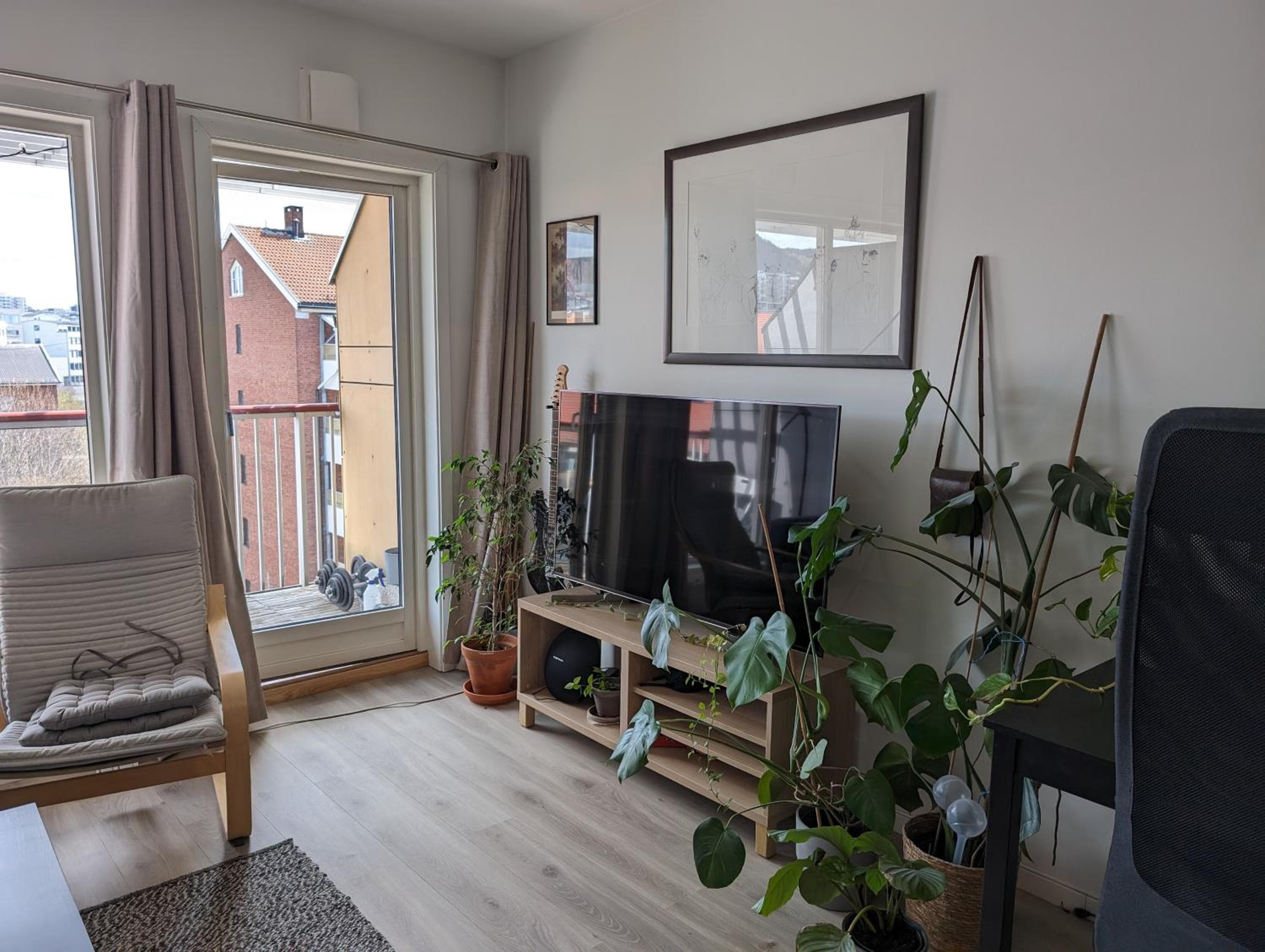 Photograph supplied for Spacious and cozy studio apartment with balcony