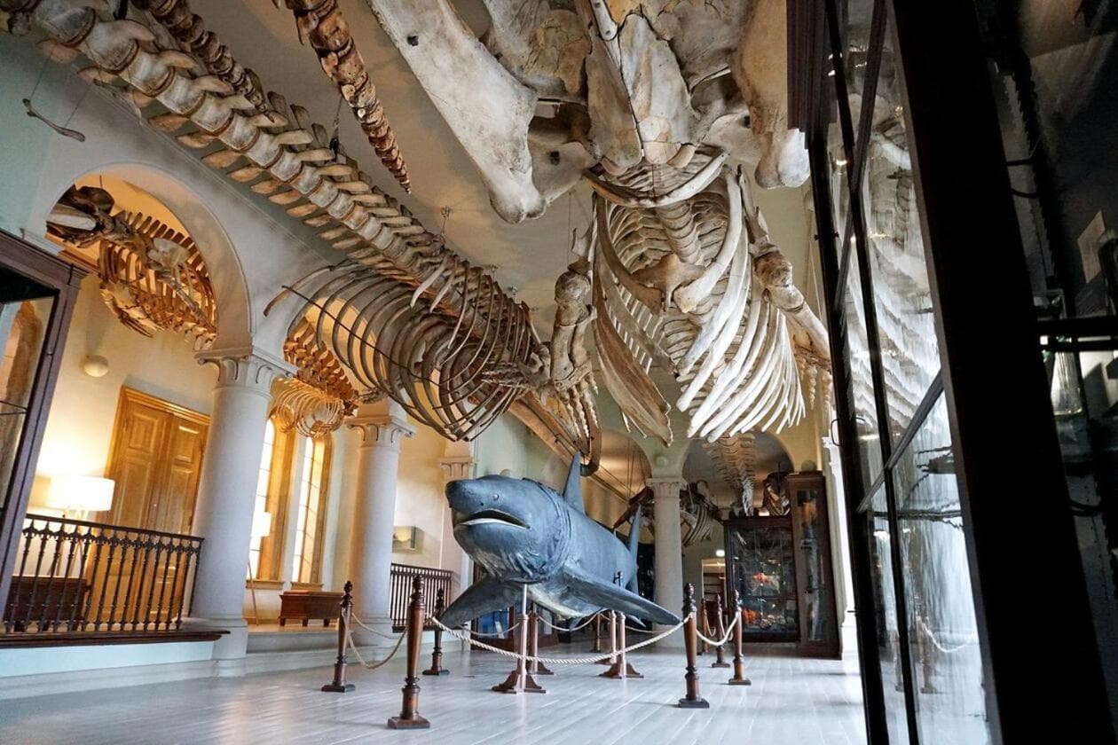 Photograph supplied for Dinbnb Apartments I Historical Building I 50m To University Museum