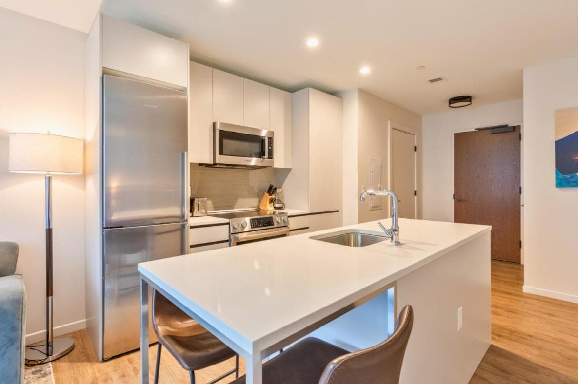 Photograph supplied for Luxurious apartment in Boston