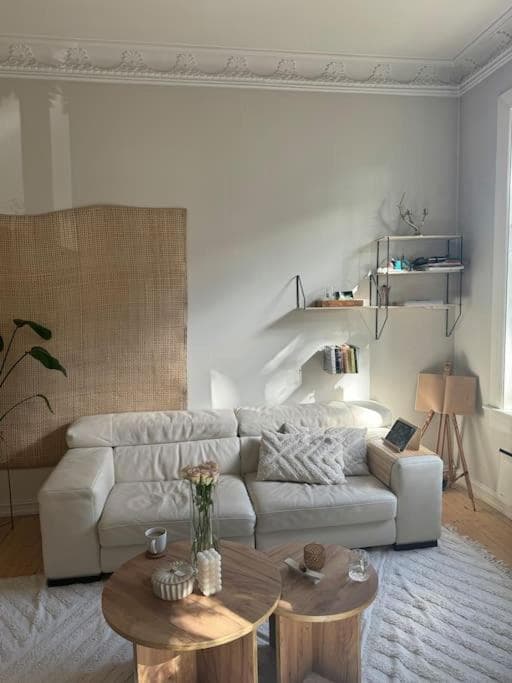Photograph supplied for Super apartment in heart of Oslo