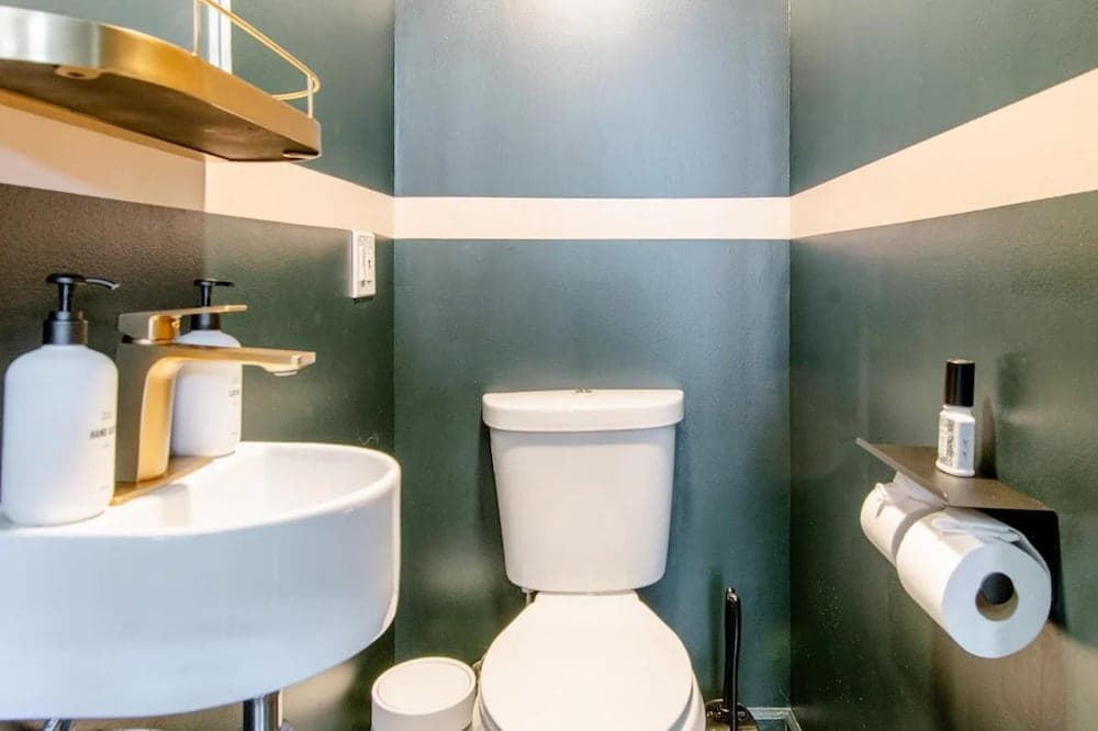 Photograph supplied for Reggie A Designer Fells Point Townhouse